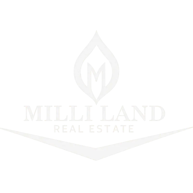 Milli Land